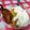 ♥まる's cooksnap of when they made 焼き芋ヨーグルト.