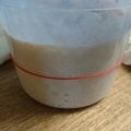 だだだんだんっ's cooksnap of when they made 天然酵母液からおこす天然酵母元種(中種).