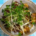 masdelico's cooksnap of when they made うま～♪まぐろアボガドどんぶり.