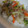 クック77SWFD☆'s cooksnap of when they made 簡単時短!!白菜と豚肉の中華風とろとろ煮.
