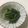クックHCEK3M☆'s cooksnap of when they made 小松菜の塩昆布和え.