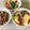 さくらん餅's cooksnap of when they made 青梗菜と厚揚げとひき肉のピリ辛炒め.