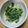 もりのりころ's cooksnap of when they made ご飯の友！！共？カイワレのおかか和え.