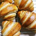 ゆめたんといっしょ's cooksnap of when they made 全粒粉入りクロワッサン（ＨＢ使用）.