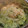 うきゆき０４'s cooksnap of when they made 白菜とホタテ（缶）の簡単煮.