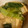 dollyj's cooksnap of when they made 簡単☆厚揚げのそぼろ味噌煮.