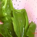ニノにの's cooksnap of when they made あらっ？苦くない！ピーマンのおひたし.