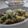 まろんかふぇ's cooksnap of when they made 白菜＆えのきのおじや.