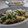 まろんかふぇ's cooksnap of when they made 白菜＆えのきのおじや.
