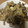 エクストリーマー's cooksnap of when they made ぶなしめじと豚肉の卵とじ.
