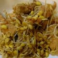 いでぴい's cooksnap of when they made しっかり味の鶏モモ お弁当に.