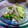 ＴＯＭＯＷＡＴ's cooksnap of when they made ✿ベーコンと胡瓜の❀爽やか✿柚子胡椒和え.