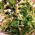 陸ケミ's cooksnap of when they made 切り干し大根と豆苗サラダ.