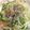 クックJAQ6EL☆'s cooksnap of when they made モチモチ水パスタ⁉で牡蠣オイル漬け.