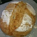 nyajirou's cooksnap of when they made 全粒粉入り　ベリーカンパーニュ.
