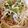 miLmal's cooksnap of when they made 焦がし葱と納豆とツナのパスタ.