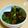すずなまり's cooksnap of when they made 簡単！なすとピーマンのおかかポン酢炒め.