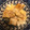 ☆puripuri☆'s cooksnap of when they made 厚揚げステーキ★とろ～り卵とじあんかけ♪.