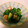 ♥AZU♥'s cooksnap of when they made 妊娠、授乳に！厚揚げのナッツ肉味噌炒め.