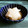 kebeibiko's cooksnap of when they made 煎り酒で大根の箸休め.