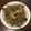 四児のハハ's cooksnap of when they made 鶏肉ごぼうの中華炒め.