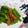 るなまりー's cooksnap of when they made インゲンとベーコンのコク旨炒め.