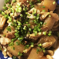 ポチわんこ's cooksnap of when they made 大根と豚肉の生姜煮込み.