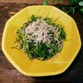 ☆micoco☆'s cooksnap of when they made おかひじき【ごま油&しらす和え】.