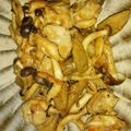 ねこ。！'s cooksnap of when they made ☼鶏もも肉とごぼうのにんにく味噌炒め.