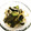 クックｕち's cooksnap of when they made わかめともやしときゅうりの酢の物.
