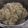 け〜〜ちゃん's cooksnap of when they made 圧力鍋で約20分加熱でもちもち炊き.