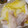 とにーにょ's cooksnap of when they made シンプルが美味しい☆白菜と豚の重ね蒸し.
