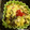 お願いひつじ's cooksnap of when they made 塩昆布で白菜の和風卵炒め.