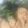 クックGC9Y5I☆'s cooksnap of when they made がんもと小松菜の煮浸し.