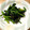 tamichi's cooksnap of when they made 簡単！ほうれん草の胡麻和え.