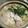 かわはぎﾛｰﾙ's cooksnap of when they made 創味シャンタンで白菜いっぱいの餃子鍋.