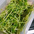 ちんゆき's cooksnap of when they made 豆苗ＤＥ麺つゆ常備菜☆.