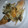 ☆ＭＡ—Ａ☆'s cooksnap of when they made 簡単★鮭としめじのバター焼き★.