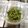 mayuppe220's cooksnap of when they made ごはんがすすむ！大根葉のお漬物.
