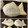 みるく17's cooksnap of when they made 噂の　白いたい焼き　できました！！.