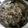 アル君's cooksnap of when they made 圧力鍋とだし袋で♪ 大根と牛肉の煮物.