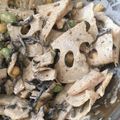 1035's cooksnap of when they made 自家製ごまドレで♪ひじきと蓮根のサラダ.