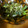 低カロ探検隊's cooksnap of when they made タアサイの胡麻和え⭐.