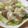低カロ探検隊's cooksnap of when they made レンジで簡単旨い！ネギ塩豚もち.