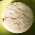 ぢゅんBooo's cooksnap of when they made 簡単！炊飯器でふわふわ蒸しケーキ！卵不要.