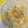 ぽぽきゅ's cooksnap of when they made ＊新玉ねぎと柚子のおかか和え＊.