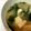 にゃんちゃん325's cooksnap of when they made 高知県の郷土食★　どろめ汁.