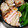☆ﾁｬｯﾋﾟ☆'s cooksnap of when they made 忙しい朝に！えのきだけとハムのバター炒め.