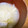 rakuen's cooksnap of when they made 玉ねぎと大根の優しいスープ.