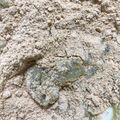 森川うぱ's cooksnap of when they made 簡単！さつま芋とお餅のお団子♪ねりくり.